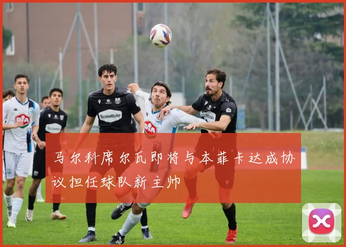 马尔科席尔瓦即将与本菲卡达成协议担任球队新主帅